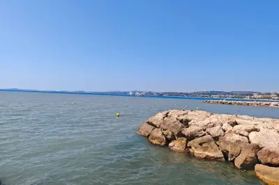 Vague marron à Cagnes: la mairie explique le phénomène