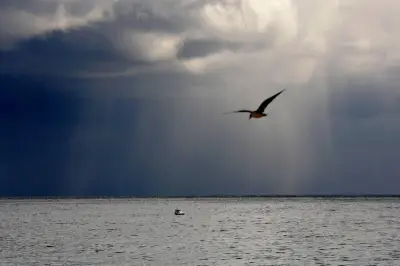 Var : fin de la canicule jeudi, orages et pluie-inondation en vigilance jaune