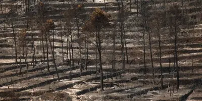 Var : nouveau feu non fixé, 6 300 hectares parcourus, Gironde stable