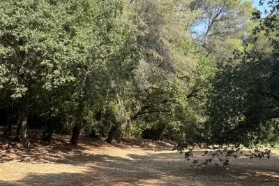 Vence : évacuation de caravanes illégales en zone rouge incendie