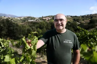 Vignoble de Bellet : vendanges précoces, la sécheresse menace la vigne