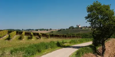 Vins d'été 2026 : les rouges du Sud-Ouest pour déconnecter
