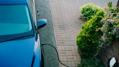 Vol à la souris : une famille lilloise privée de vacances