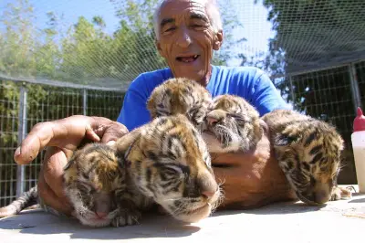 Zoo de Fréjus : 55 ans d'histoire en cinq dates clés avant la fermeture