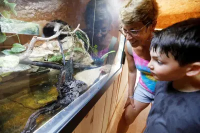 Zoo de Sanary : naissances, vivarium et nouveautés 2026
