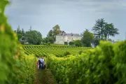 11 escapades dans les vignobles de Loire à ne pas manquer