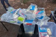 119 kg de cannabis « frozen » saisis dans le Var : un septuagénaire en détention