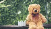 158 kg de cannabis, ours en peluche : un homme condamné à Toulouse