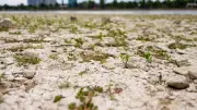 63% des nappes phréatiques françaises sous les normales au 1er août
