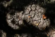 78 départements en alerte canicule, 62 millions de personnes sous restriction d'eau