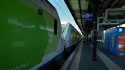 Agression au couteau à Colmar : la suspecte écrouée, le gendarme blessé