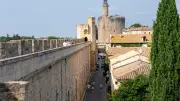 Aigues-Mortes : de la terre marécageuse à la cité fortifiée de Saint-Louis