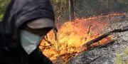 Algérie : 12 morts dans des incendies de forêts