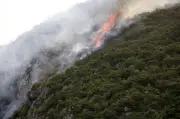 Algérie : incendies meurtriers, débat national sur la prévention