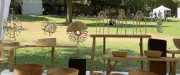 Anduze : le Festival de tournage d'art sur bois au parc des Cordeliers