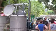 Anissa Ferhat fait revivre la distillation du lavandin à Vézénobres