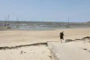 Après les incendies, les Landes veulent rassurer les touristes