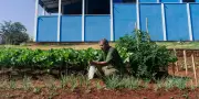Au Brésil, une prison sans gardiens armés, contre-modèle de Bukele