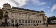 Au Muséum, un an après la cyberattaque, la débrouille