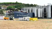 Au Pouget, la cave des Trois Grappes se réinvente face à la crise du vin