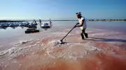 Au Salin d’Aigues-Mortes, la récolte de sel reprend après deux semaines d’arrêt