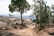 Au Sud-Liban, une vie fragile en zone pilote