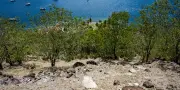 Aux Antilles, El Niño provoque une sécheresse inhabituelle en pleine saison cyclonique