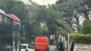 Avenue Giono à Aix : circulation coupée après une chute d'arbre