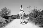 Aveyron : enquête après la mort d'une adolescente lors d'une promenade à cheval