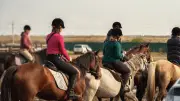 Aveyron : une fillette de 12 ans meurt dans une promenade à cheval, le centre fermé