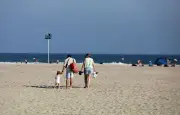 Baignades : physalies, méduses, pollutions, le littoral sous pression