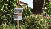 Balaruc : exposition sur le passé antique au parc Sévigné