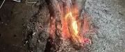 Barbecues sauvages dans l'Hérault : les gendarmes verbalisent