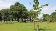 Bédarieux : clap de fin festif pour Quartiers d'été au parc Pierre-Rabhi
