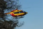 Beaujolais : un vendangeur de 17 ans tué, neuf blessés