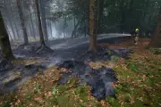 Belgique : pire feu de l'histoire, secours mobilisés