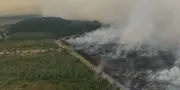 Belgique : un incendie dévastateur dans les Hautes Fagnes
