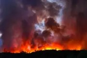 Bompard veut une enquête parlementaire sur les incendies