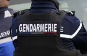 Boulanger victime d'un vol de voiture près de Strasbourg : 30 mois de prison