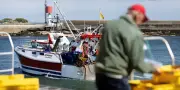 Bretagne : l'accès aux licences de pêche, un parcours semé d'embûches