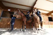 Brigade équestre de Nice : 7 chevaux, 13 agents, patrouilles 7j/7