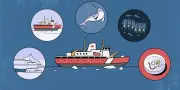 Brise-glace en Arctique : ces organismes marins qui régulent le climat