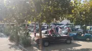 Cabriolets à l'honneur : 90 exposants au rassemblement Java à Pujaut