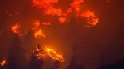 Canada : 5 000 hectares brûlés, 20 000 habitants évacués à Summerland