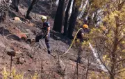 Canicule : 10 départements en orange, le Var toujours en feu