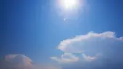 Canicule 2026 : déjà 7 300 morts, un bilan provisoire alarmant