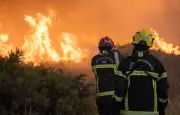 Canicule 2026 : les écologistes sous le feu des critiques du RN