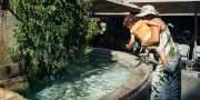 Canicule : 75 départements en vigilance orange, pénurie d'essence à l'Est