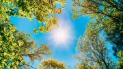 Canicule : 80 départements en vigilance orange, coût estimé à 15 milliards