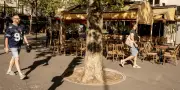 Canicule : 80 départements en vigilance orange, températures au-delà de 40°C